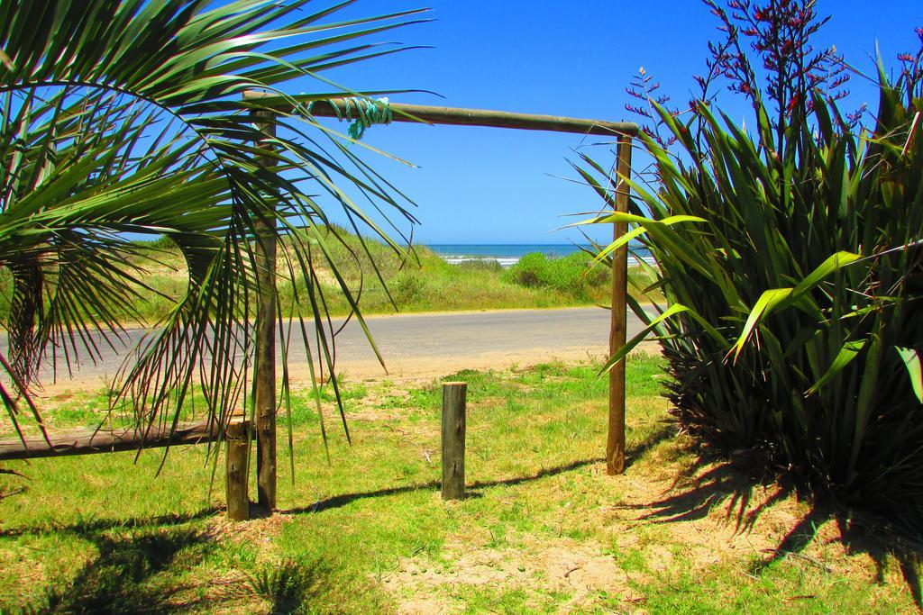 La Nueva Ensenada * La Paloma
